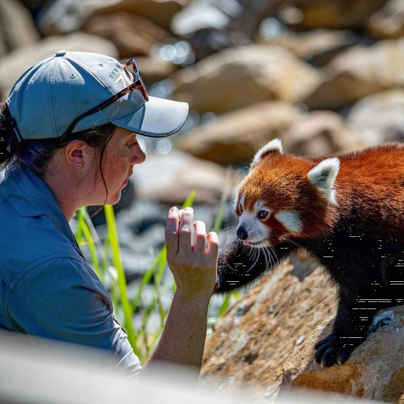 blue-mountain-experience-from-sydney-8