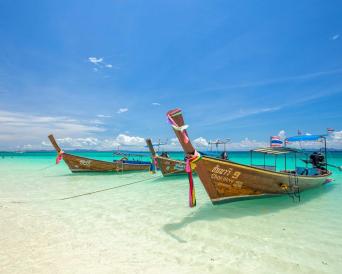 Phi Phi Islands X Large - The Early Bird (Small Gr