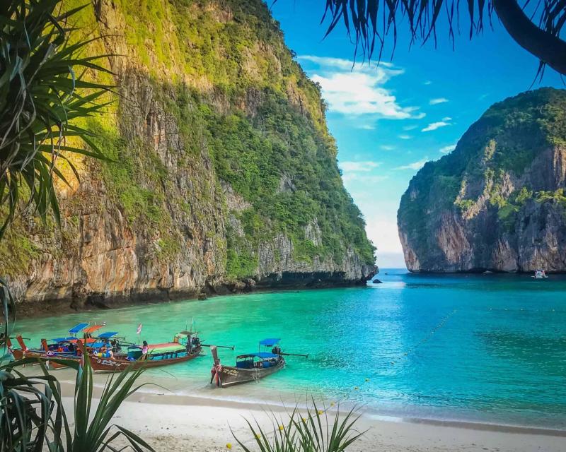 phi-phi-islands-x-large-the-early-bird-small-gr-6