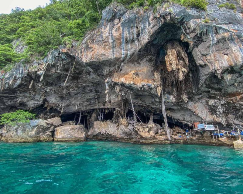 phi-phi-islands-x-large-the-early-bird-small-gr-8