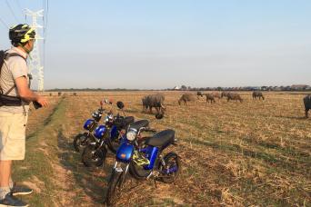 E-Bike Countryside Tour