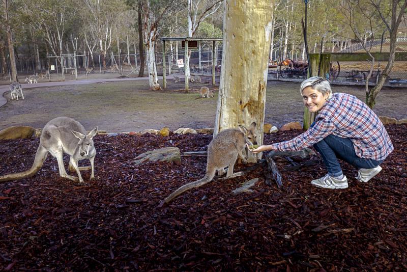 blue-mountains-overnight-experience-tour-only-4