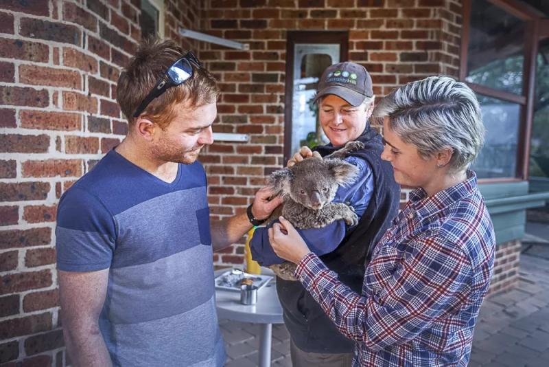 blue-mountains-deluxe-day-tour-5