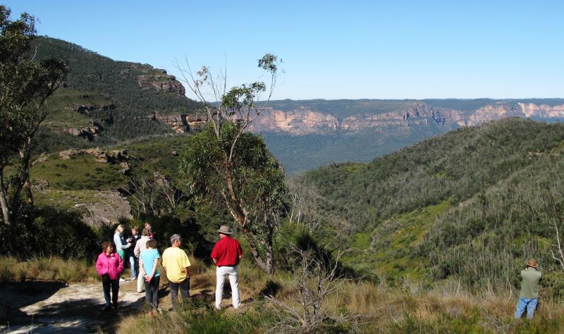blue-mountains-wildlife-full-day-sights-and-hiking-4