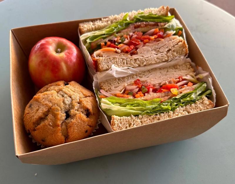 blue-mountains-wildlife-full-day-sights-and-hiking-7