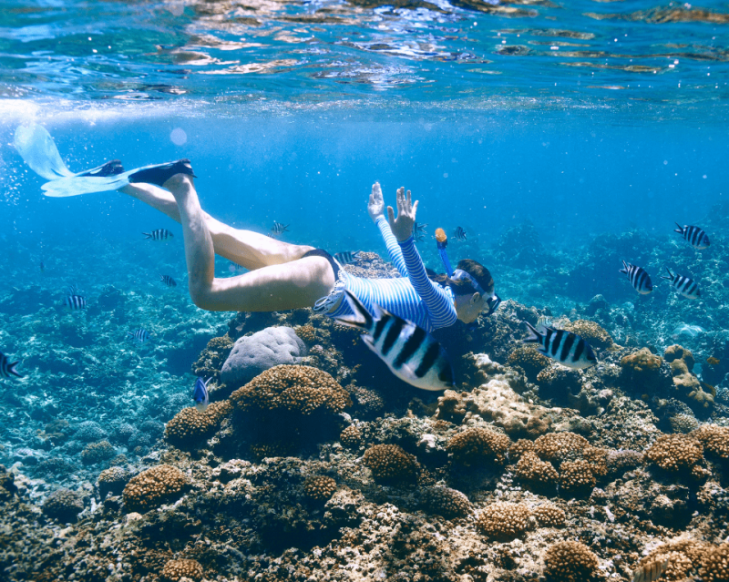 phi-phi-islands-x-large-the-early-bird-small-gr-6