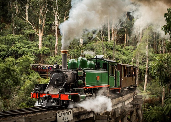 puffing-billy-and-phillip-island-penguin-parade-bu-1