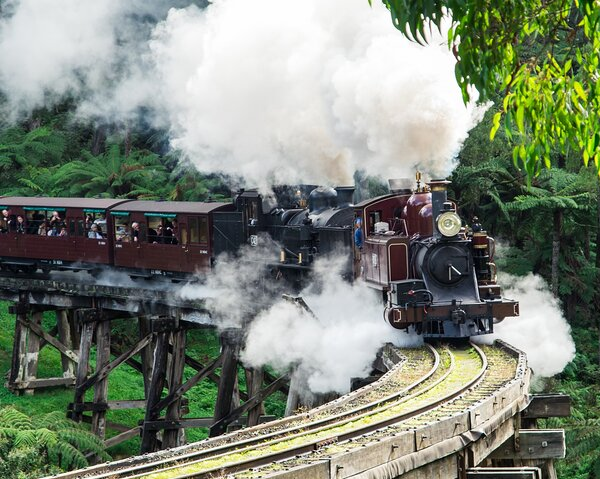 puffing-billy-and-phillip-island-penguin-parade-bu-1