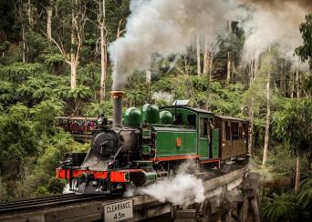 Puffing Billy And Phillip Island Penguin Parade Bu