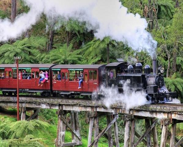 puffing-billy-and-phillip-island-penguin-parade-bu-3