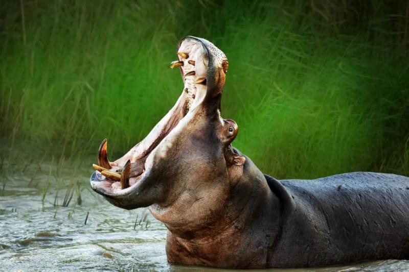 paya-indah-discovery-wetlands-at-gamuda-cove-sela-10