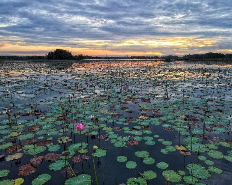 paya-indah-discovery-wetlands-at-gamuda-cove-sela-2
