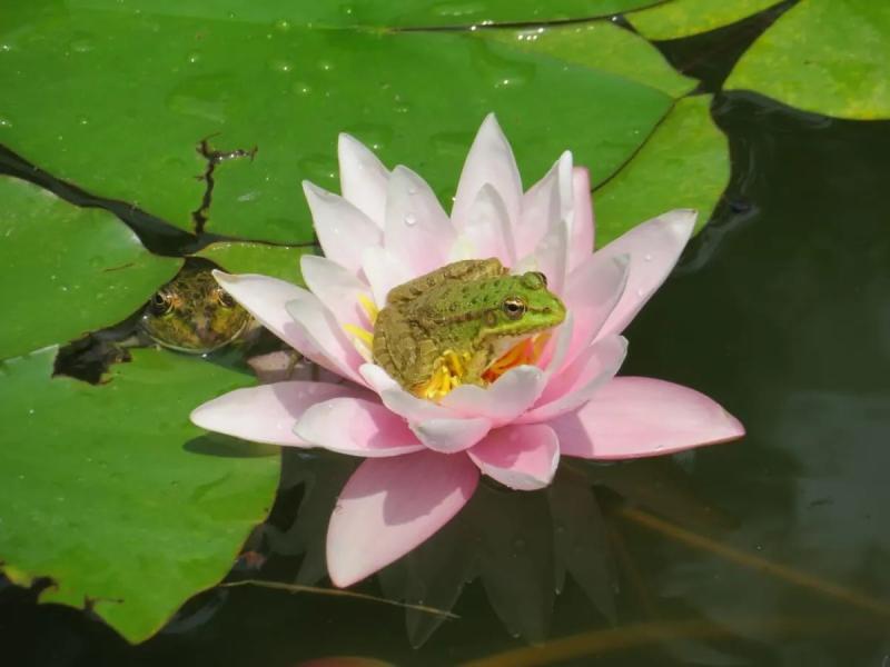 paya-indah-discovery-wetlands-at-gamuda-cove-sela-9