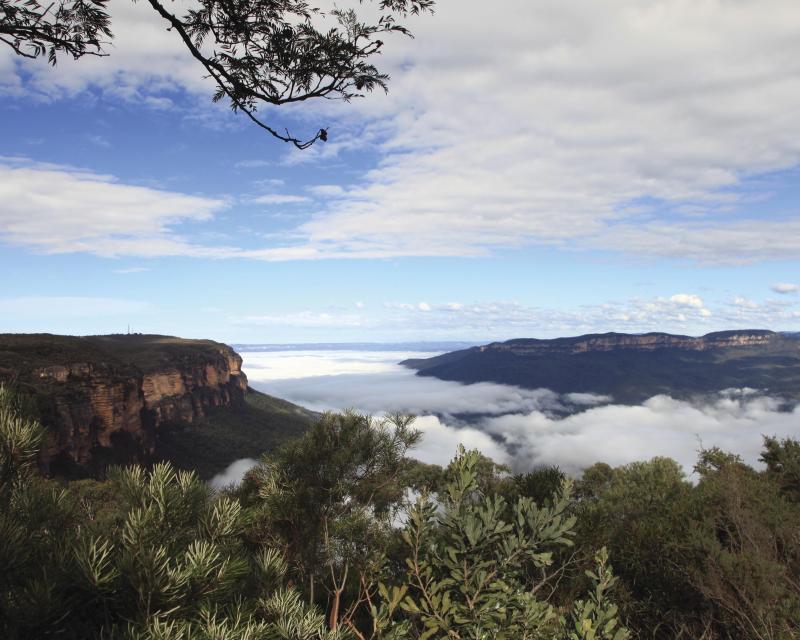 roos-blues-views-daves-blue-mountains-5