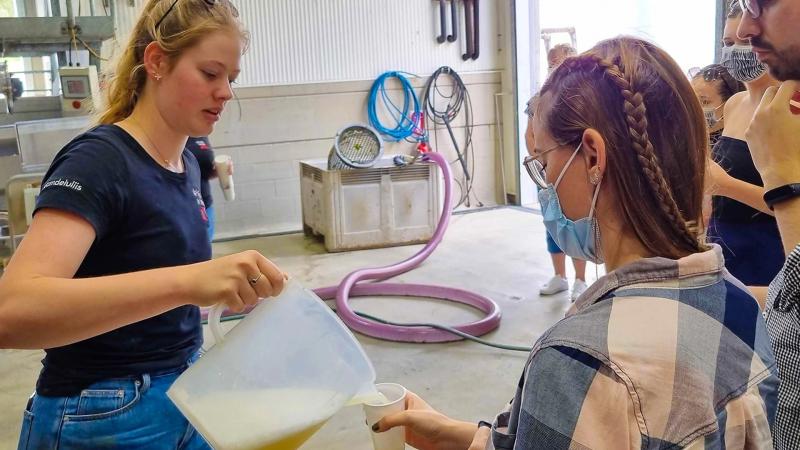 grains-grapes-hunter-valley-2