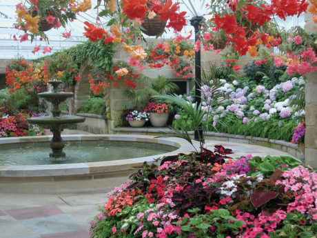 hobart-city-historic-sites-and-gardens-half-day-bu-2