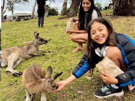tasmanian-devils-and-richmond-half-day-bus-tour-fr-2
