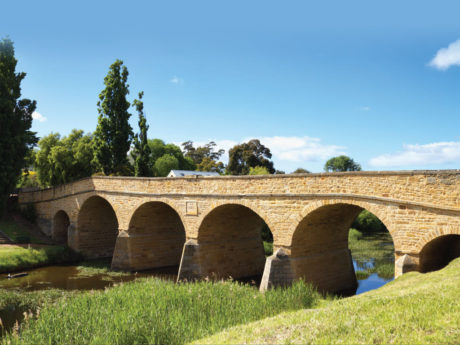 tasmanian-devils-and-richmond-half-day-bus-tour-fr-4