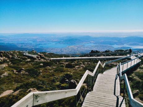 kunanyi-mount-wellington-half-day-bus-tour-from-1