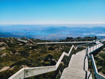 Kunanyi / Mount Wellington Half Day Bus Tour From 