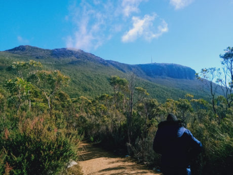 kunanyi-mount-wellington-half-day-bus-tour-from-3