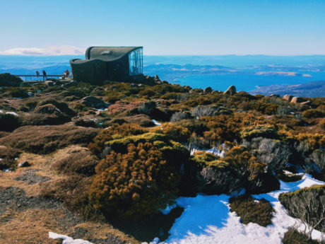 kunanyi-mount-wellington-half-day-bus-tour-from-4