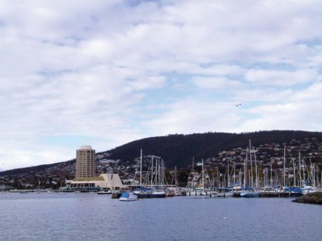 grand-hobart-bus-tour-with-bonorong-wildlife-sanct-2