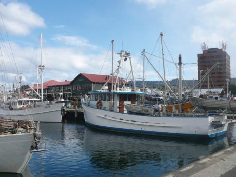 grand-hobart-bus-tour-with-bonorong-wildlife-sanct-4