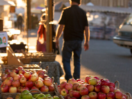 grand-hobart-and-richmond-village-full-day-bus-tou-1