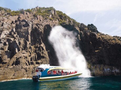 bruny-island-wilderness-coast-bus-tourboat-cruise-3