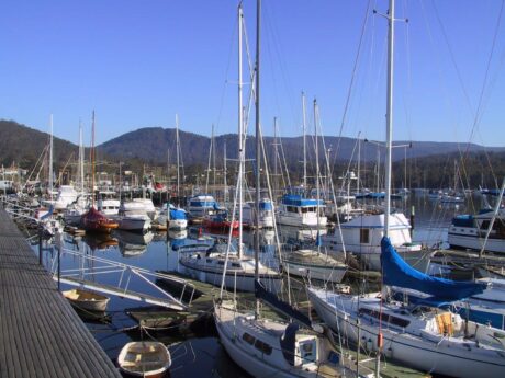 bruny-island-wilderness-coast-bus-tourboat-cruise-6