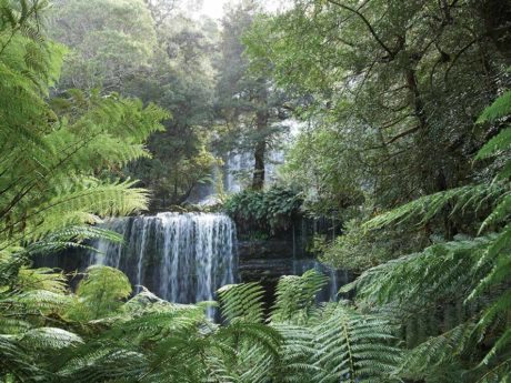 russell-falls-mount-field-np-full-day-bus-tour-1