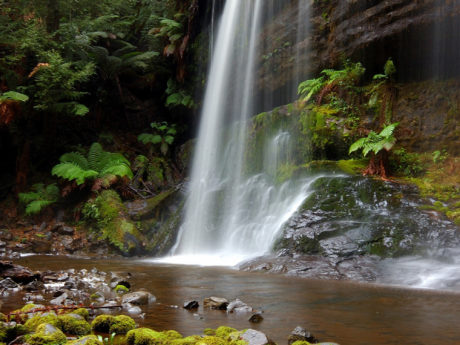 russell-falls-mount-field-np-full-day-bus-tour-2