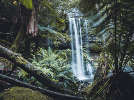 russell-falls-mount-field-np-full-day-bus-tour-3