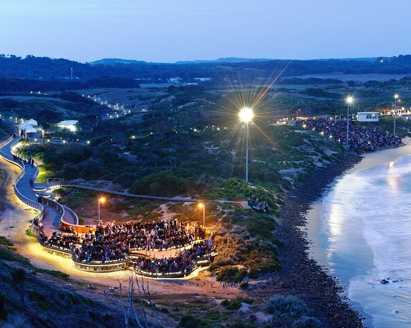 phillip-island-penguin-parade-churchill-island-f-2