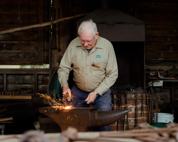 phillip-island-penguin-parade-churchill-island-f-8
