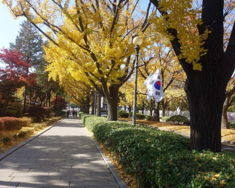 the-seoul-standoutstea-ceremonyhanbok-experience-4