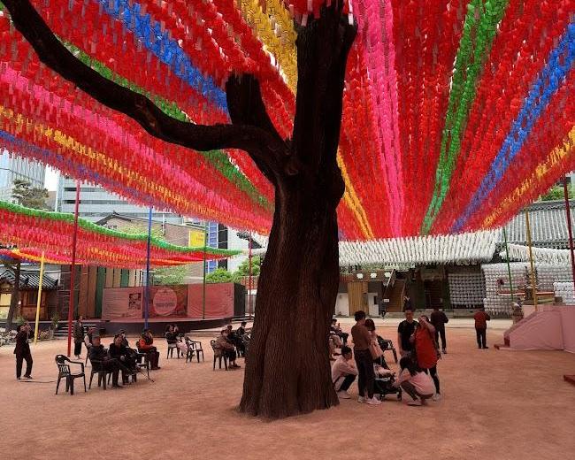 the-seoul-standoutstea-ceremonyhanbok-experience-6