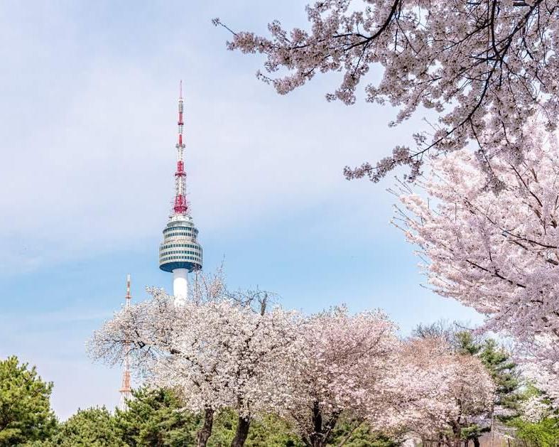 the-seoul-standoutstea-ceremonyhanbok-experience-7
