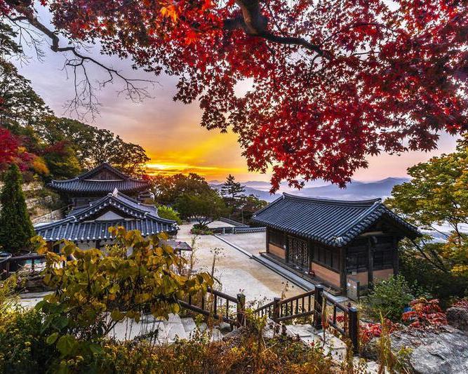 full-day-seoul-highlights-tour-gyeongbokgung-n-4