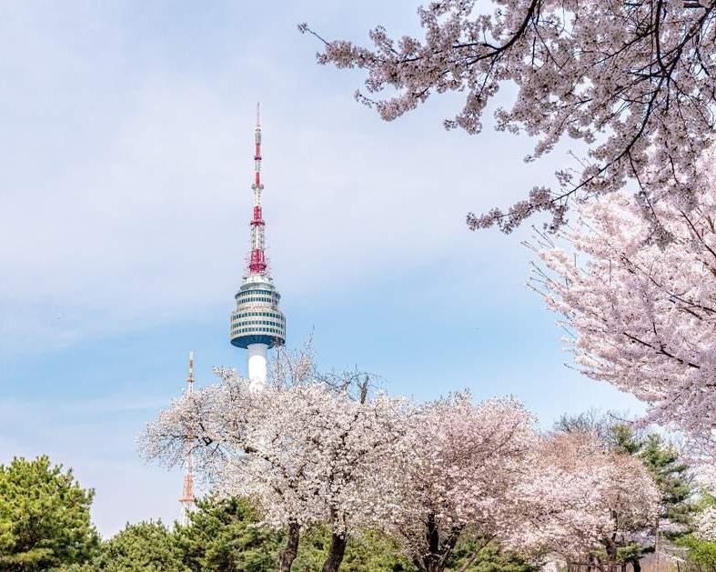 full-day-seoul-highlights-tour-gyeongbokgung-n-5