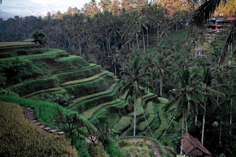 best-of-ubud-with-jungle-swing-1