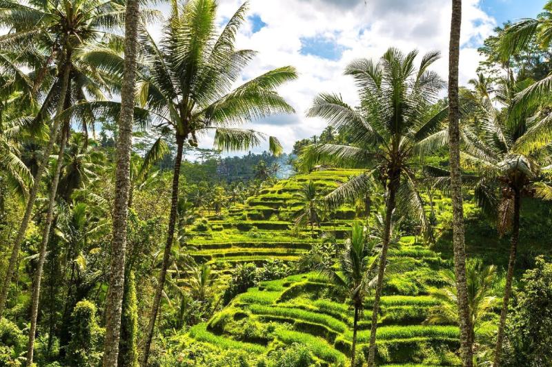 best-of-ubud-with-jungle-swing-3