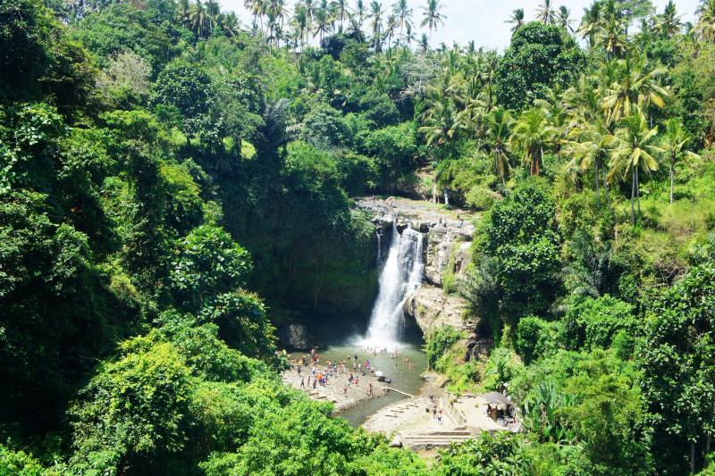 best-of-ubud-with-jungle-swing-5