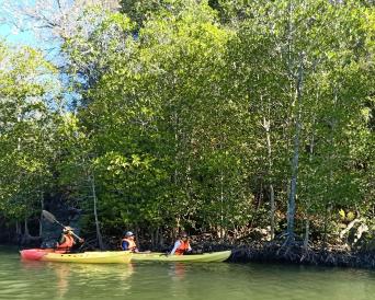 Kubang Badak River Kayaking Adventure