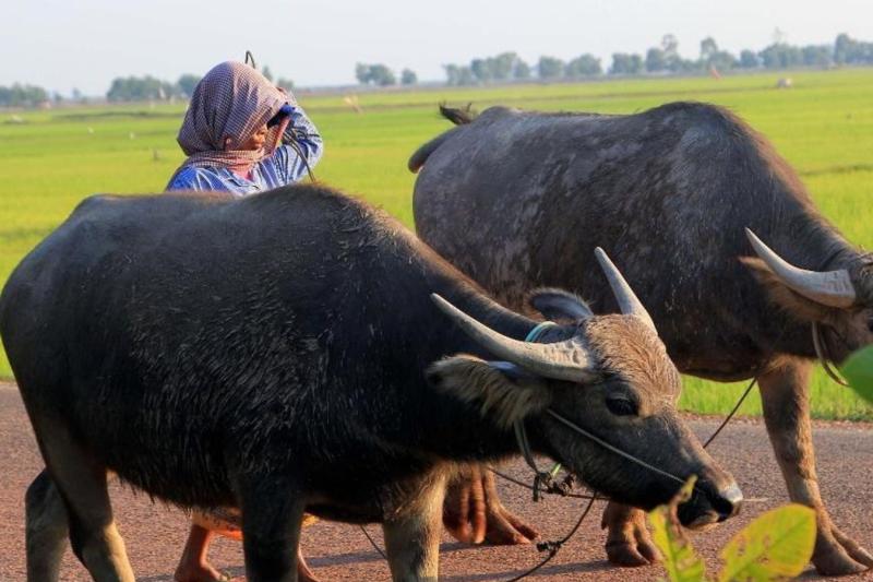 a-day-in-the-khmer-life-1