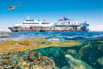 Moore Reef Full Day Tour & 10-minute Scenic Flight
