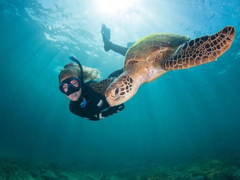 moore-reef-full-day-tour-10-minute-scenic-flight-3