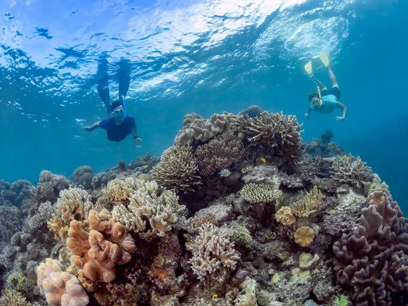 moore-reef-full-day-tour-10-minute-scenic-flight-5