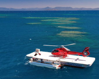 Reef & Island Fullday Tour &10-mins Scenic Flight